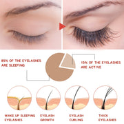 Eyelash Growth Enhancer Natural Eyelashes Longer Fuller Thicker Treatment Eye Lashes Serum Mascara Lengthening Eyebrow Growth