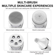 4 in 1 Facial Cleansing Brush