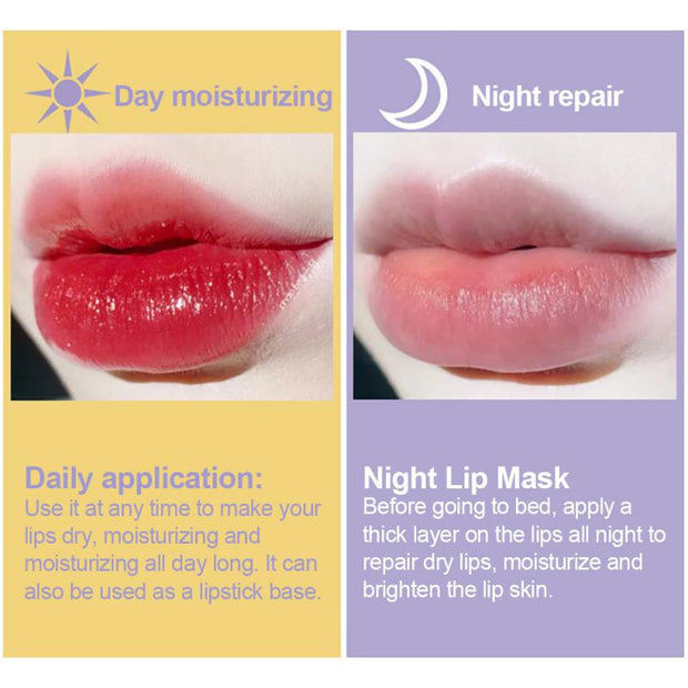 Honey Moisturizing Lip Oil Gel Lip Mask Nourishing Essence Lip Balm Anti-wrinkle Lip Care Anti-cracking Lip Mask Lip Balm Mask